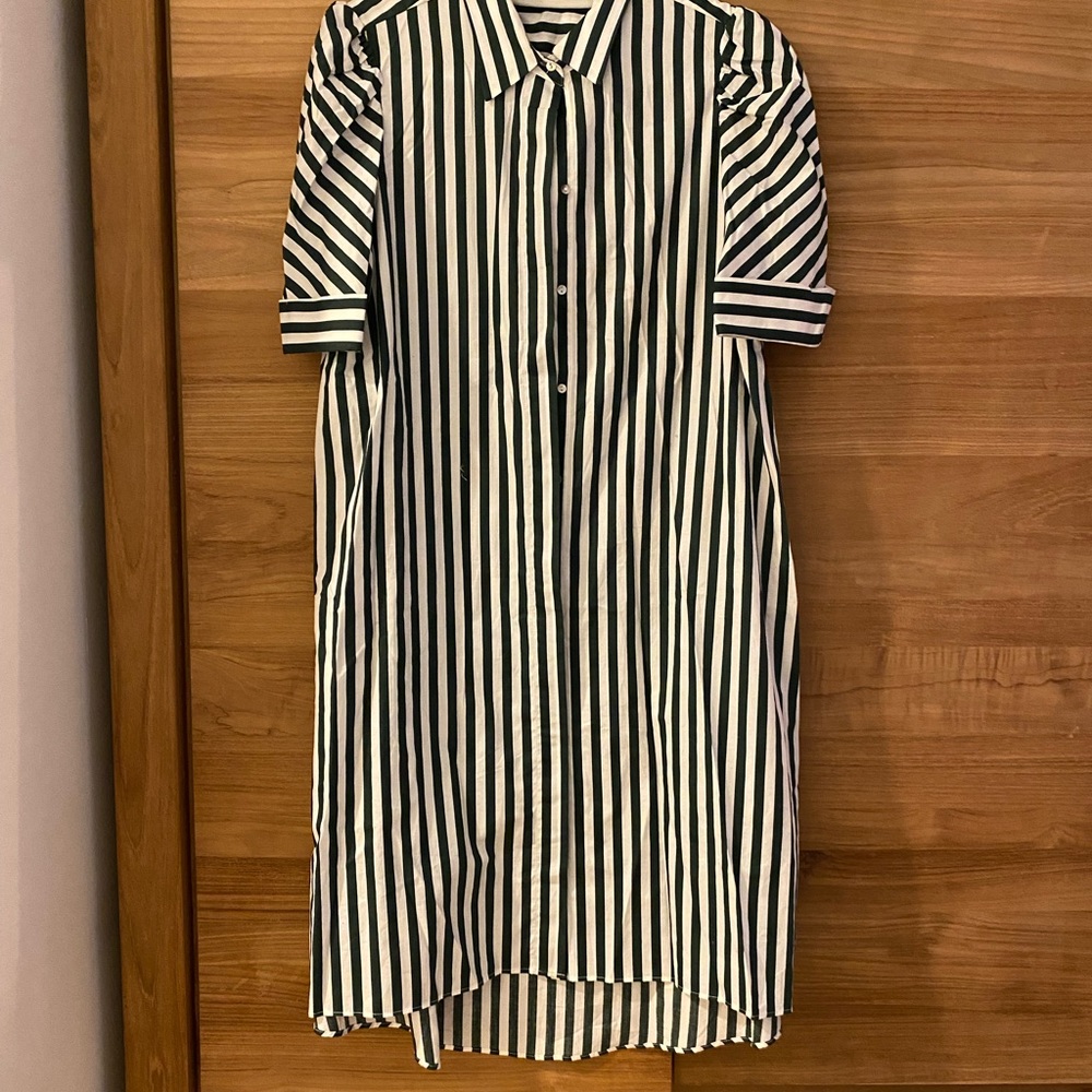 Green & White Striped Zara Dress • Size L